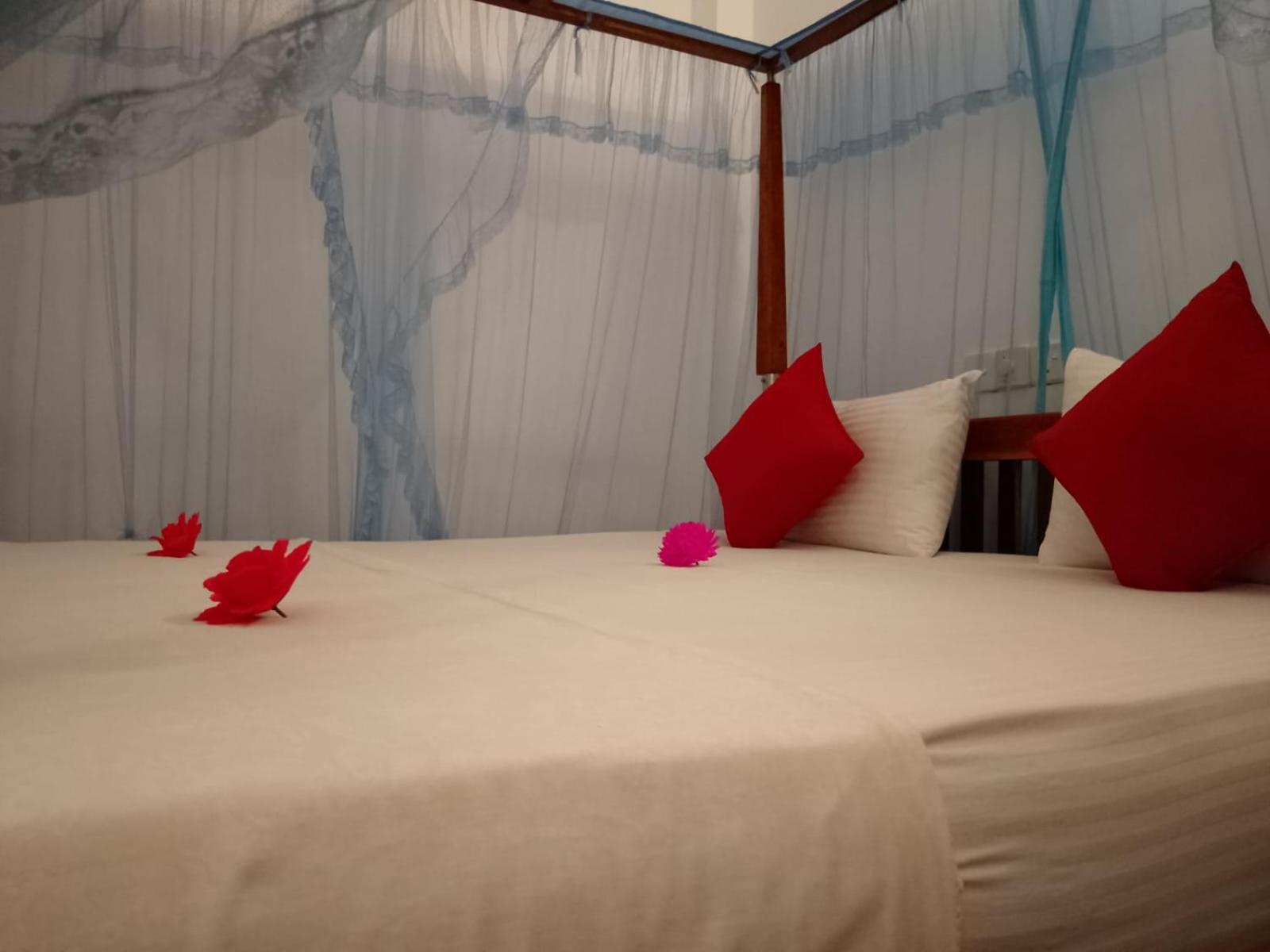 Mountain Heaven Inn Mirissa Ngoại thất bức ảnh