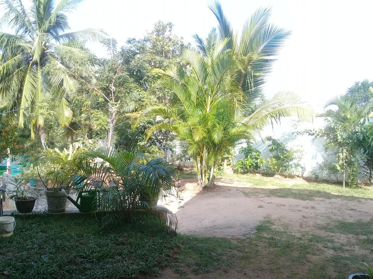 Mountain Heaven Inn Mirissa Ngoại thất bức ảnh