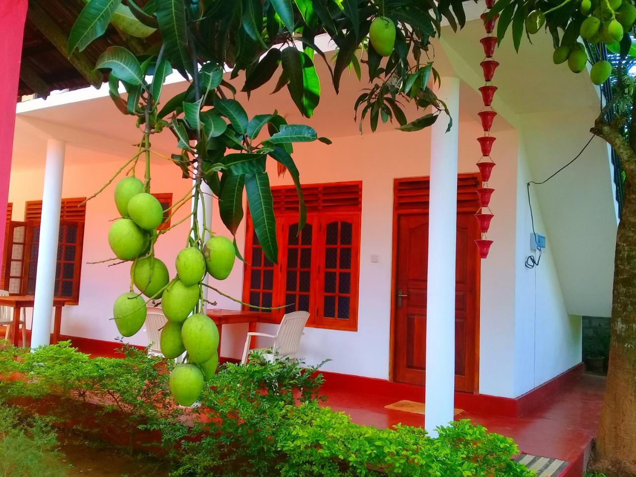 Mountain Heaven Inn Mirissa Ngoại thất bức ảnh
